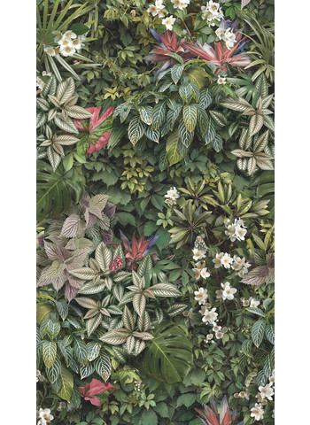 Forest 120-280