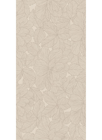 Peonia 60-120