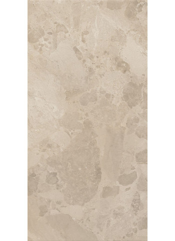 01-BLOOMSTONE-SHELL-60X120-P0-min