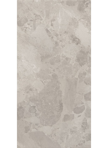 01-BLOOMSTONE-SILT-60X120-P0-min