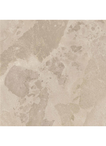02-BLOOMSTONE-SHELL-60X60-WEB4-min