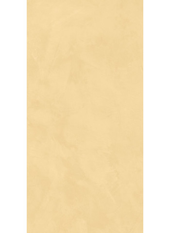 Mango 60x120 Soft. Ret.