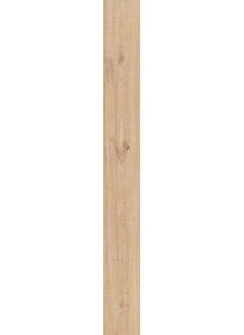 Caesar-Rever-Anise-F4-20x180-R9