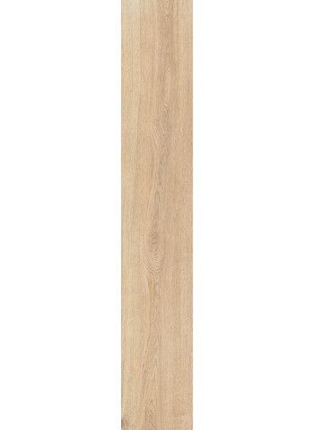 Caesar-Rever-Anise-20x120-R9