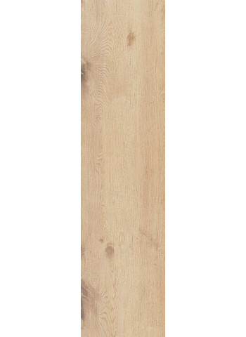Caesar-Rever-Anise-F1-30x120-Aextra20