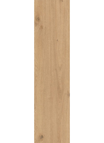 Nut 30х120 R11C Aextra 20mm Ret.