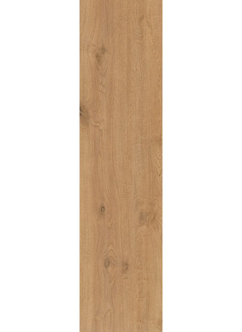Wheat 30х120 R11C Aextra 20mm Ret.