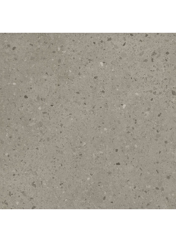 Caesar-Civic-Chips-Silent-60x60-1