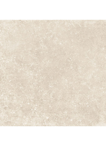 Tagina namur-blanche-90x90-1 (1)