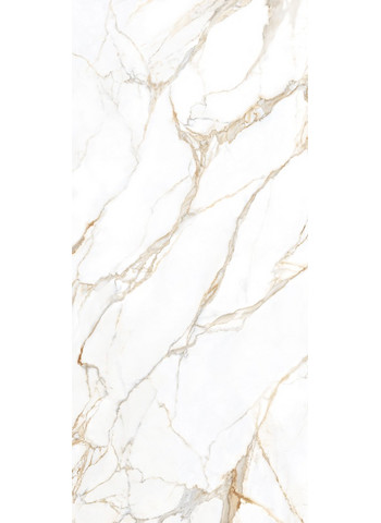 Calacatta Gold 120x280 luc