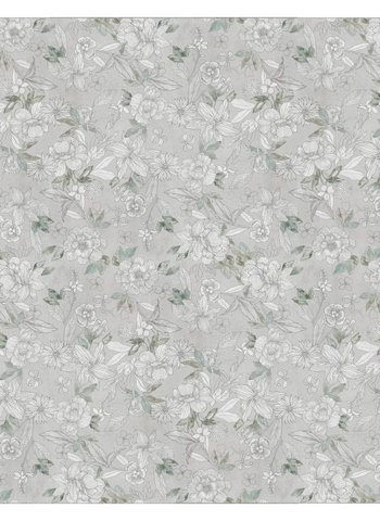 lily-sviluppo-60x120