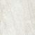 Taj Mahal Shell 60х60 Rett