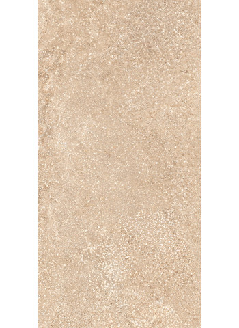 Beige 20x40
