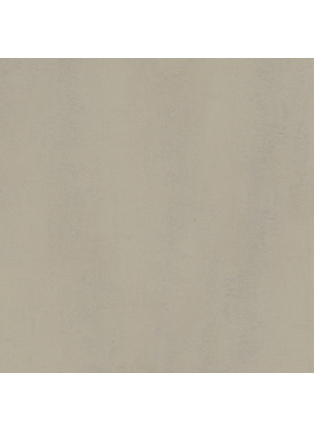 Trachyte Levigato Ret. 60x60