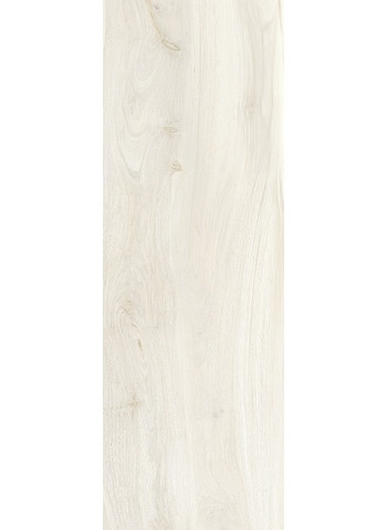 Arara Natural R11 Ret. 40x120 20mm