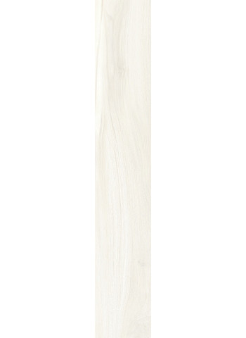 Arara 20-120