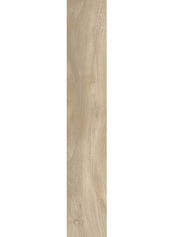 Surma 20-120