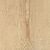 Ca Foscari Avana Nat. Ret. 20x120