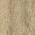 Ca Foscari Avana Nat. R11 Ret. 40x80 20mm