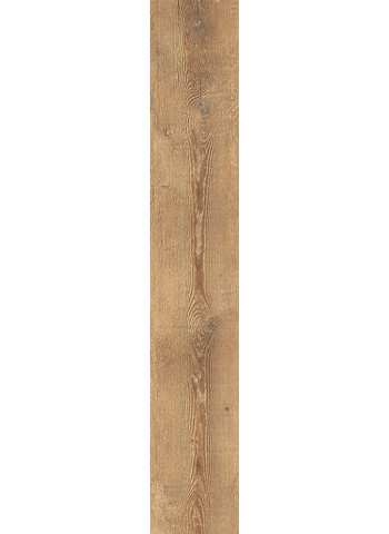 Tabacco Nat. Ret. 20x120