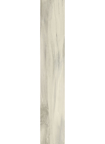 Catlins Lapp. Ret. 20x120
