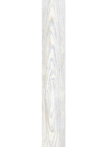 Pearl 20-120