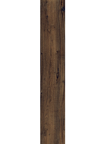 Walnut 20-120