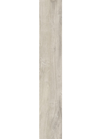 Champagne Naturale Ret. 20x120