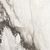 Etoile de Rex Renoir Matte 120x280