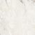 Etoile de Rex Renoir Matte 60x120