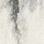 Etoile de Rex Renoir Matte 80x180
