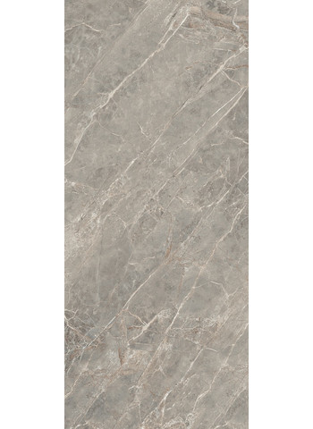 Gris Glossy 120x280