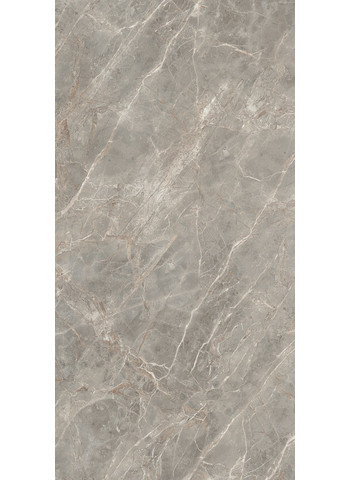 Gris Glossy Ret. 120x240