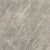 Etoile de Rex Gris Glossy 120x240