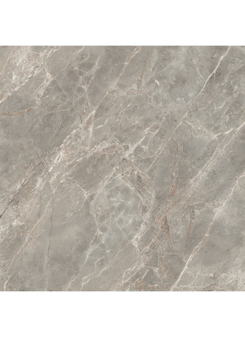 Gris Glossy 160x160
