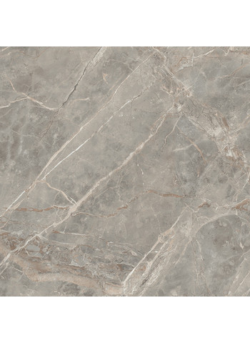 Gris Glossy 120x120