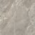 Etoile de Rex Gris Glossy 60x120
