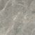 Etoile de Rex Gris Glossy 80x180