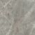 Etoile de Rex Gris Glossy 60x60
