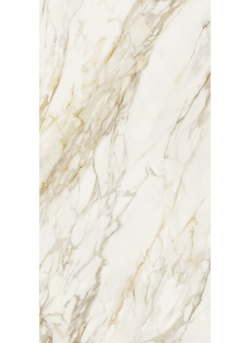 Creme Glossy 120x240