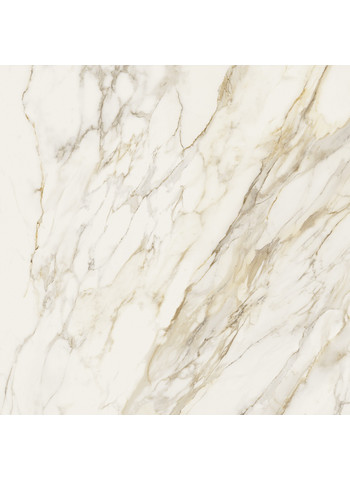 Creme Gloss 120x120