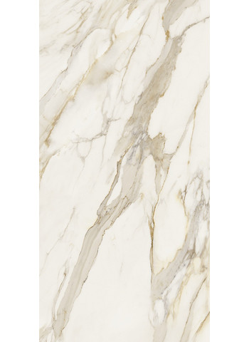 Creme Matte Ret. 60x120