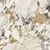 Etoile de Rex Symphonie Glossy 120x240