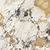 Etoile de Rex Symphonie Glossy 120x120