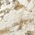 Etoile de Rex Symphonie Glossy 60x120