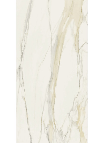 Calacatta gold Matte Ret. 160x320