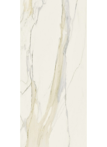 Calacatta gold Matte Ret. 120x280