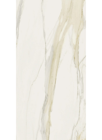 Calacatta gold Glossy Ret. 120x240