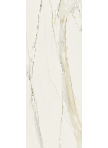 Calacatta gold Glossy Ret. 80x240