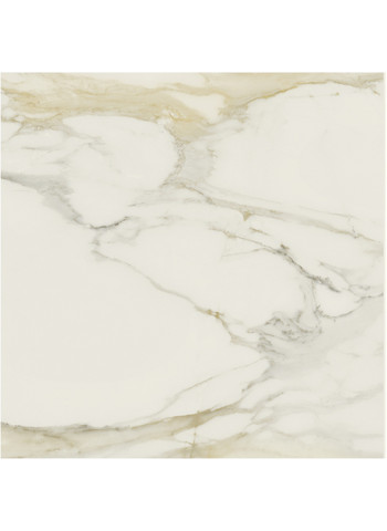 Calacatta gold Matte Ret. 120x120